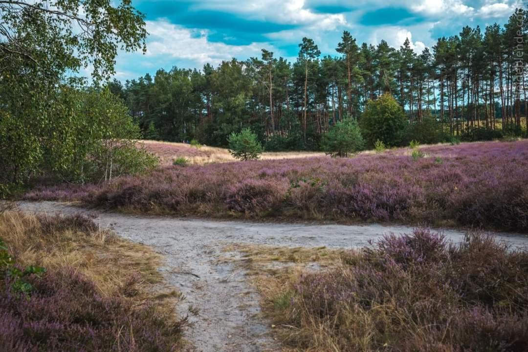 Ferienwohnung Ram 1 Hermannsburg Exteriör bild